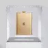 ЦАП/усилитель для наушников iFi Audio HIP-DAC2 Gold Edition