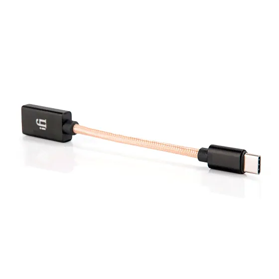 iFi Type-C OTG-4