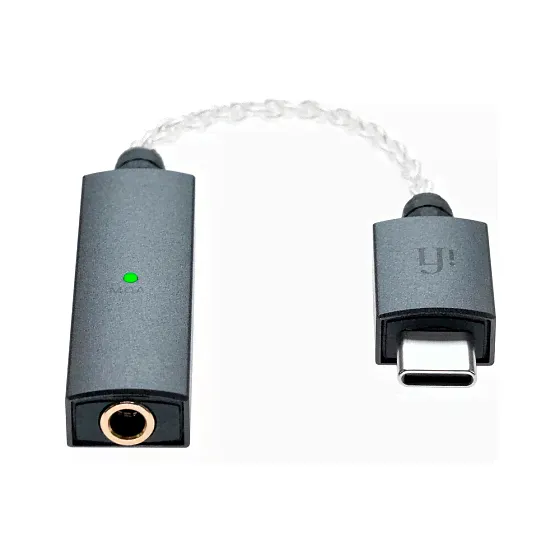 iFi Go Link