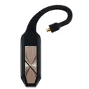 iFi Audio iFi Audio Go Pod Standart