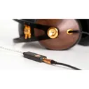 iFi Go Link