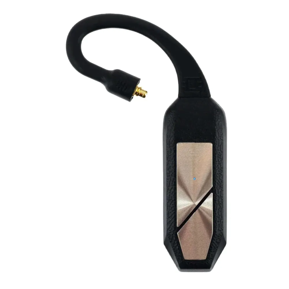 iFi Audio iFi Audio Go Pod Standart-0
